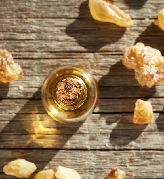 Gum Rosin Derivative from Pine Chemicals India
