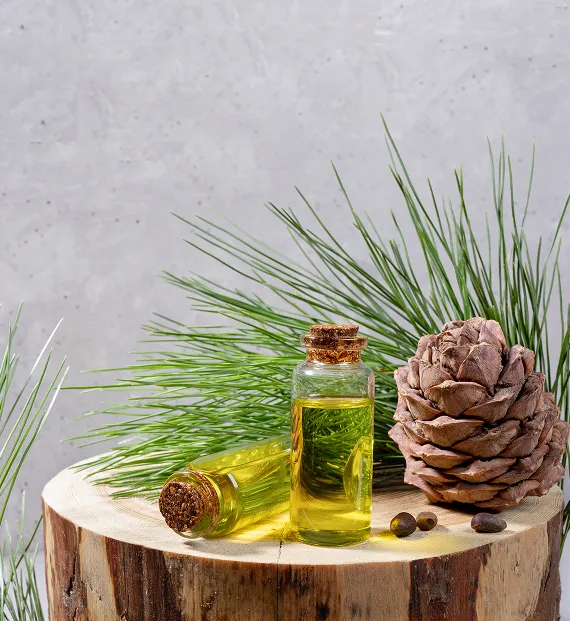 Gum Turpentine Derivative from Pine Chemicals India