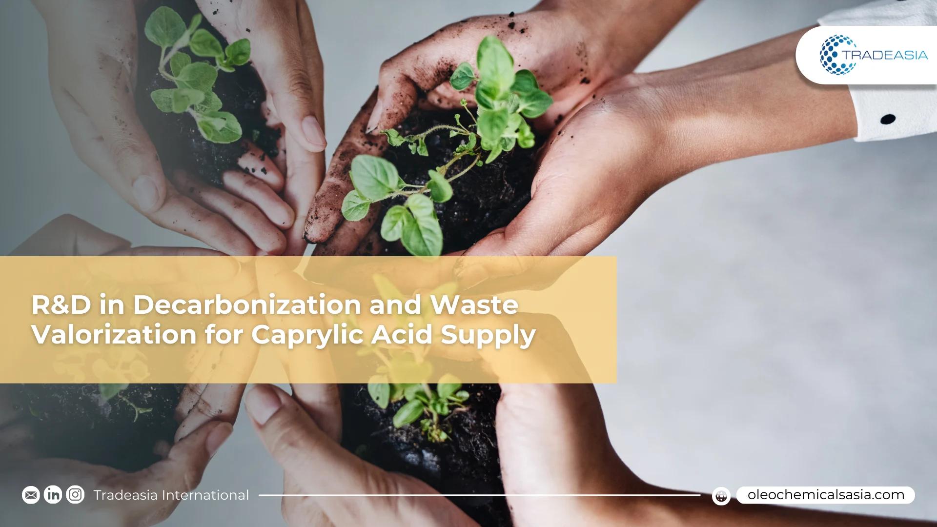 Carbon Footprint Race: R&D in Decarbonization and Waste Valorization for Caprylic Acid Supply (2020–2040)