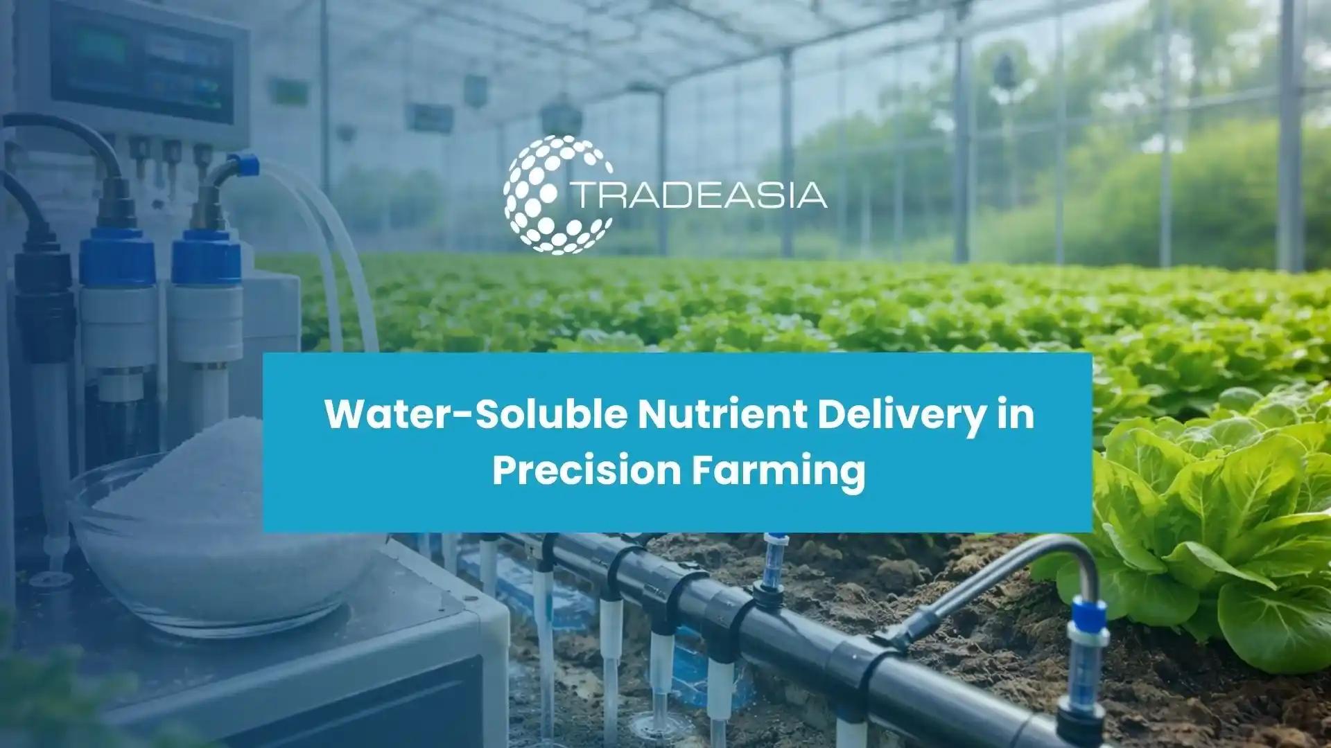 From Soil to Harvest: How Potassium Nitrate Enhances Fertigation and Precision Agriculture Systems