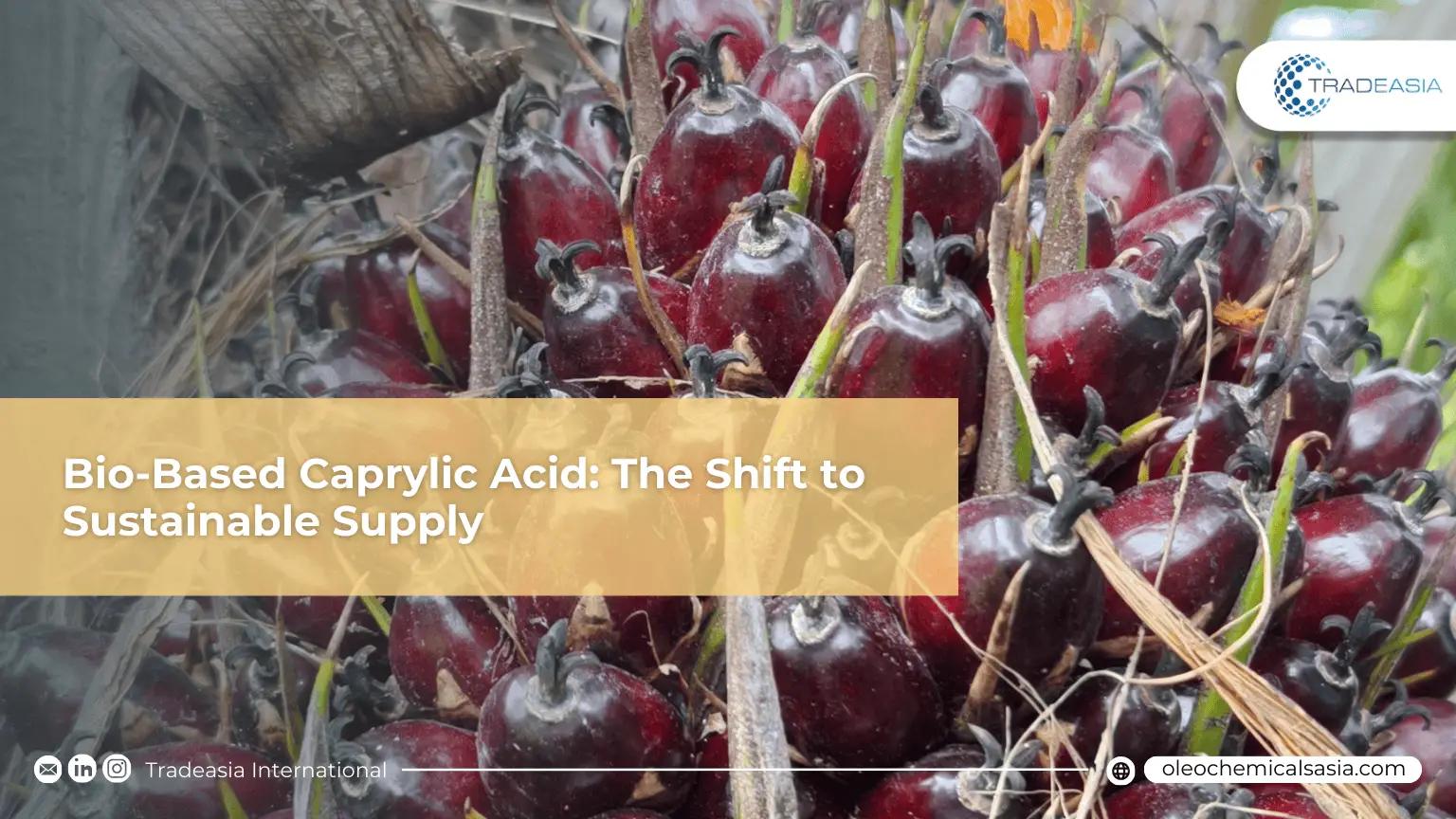 Sustainable Sourcing: The Strategic Shift to Bio-Based Caprylic Acid in a 2040 World