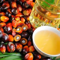 RBD Palm Oil in Chemtradeasia