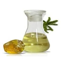 Gum Turpentine Oil (V2) - Argentina in Chemtradeasia