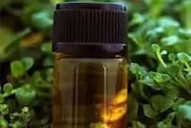 Alpha Pinene 95% - Spain in Pine Chemicals Asia