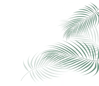 Background Shadow2