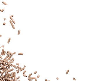 Background Description Section Left