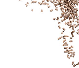 Background Description Section Right