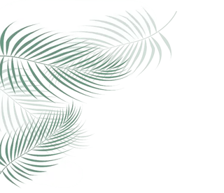 Background Shadow1