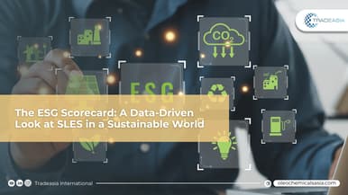 Banner Article