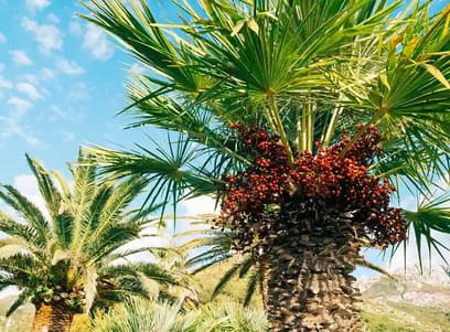 Banner of Chemtradeasia