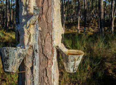 Banner of Chemtradeasia