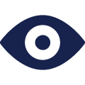 Icon Visi