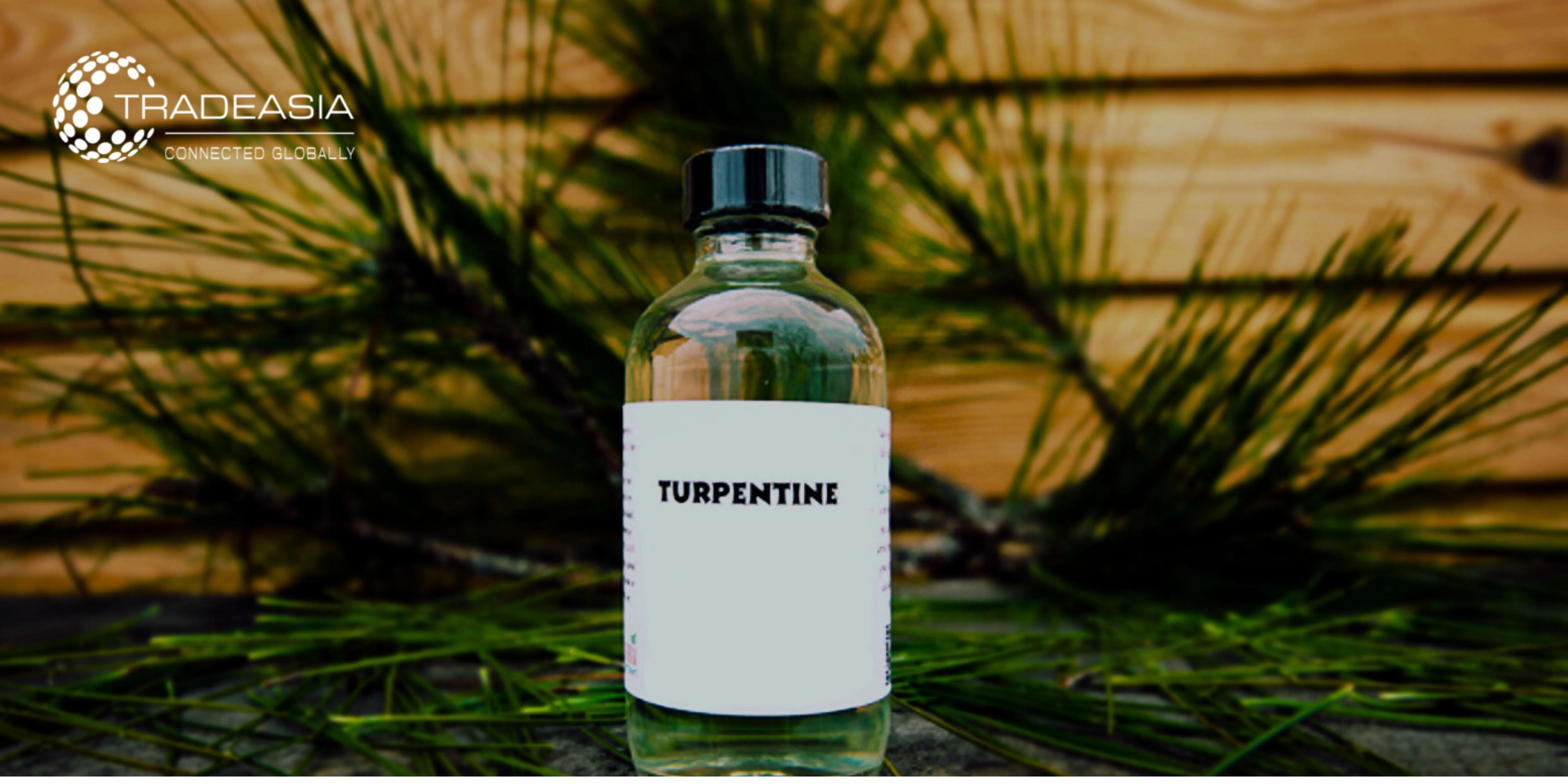 Turpentine Oil 