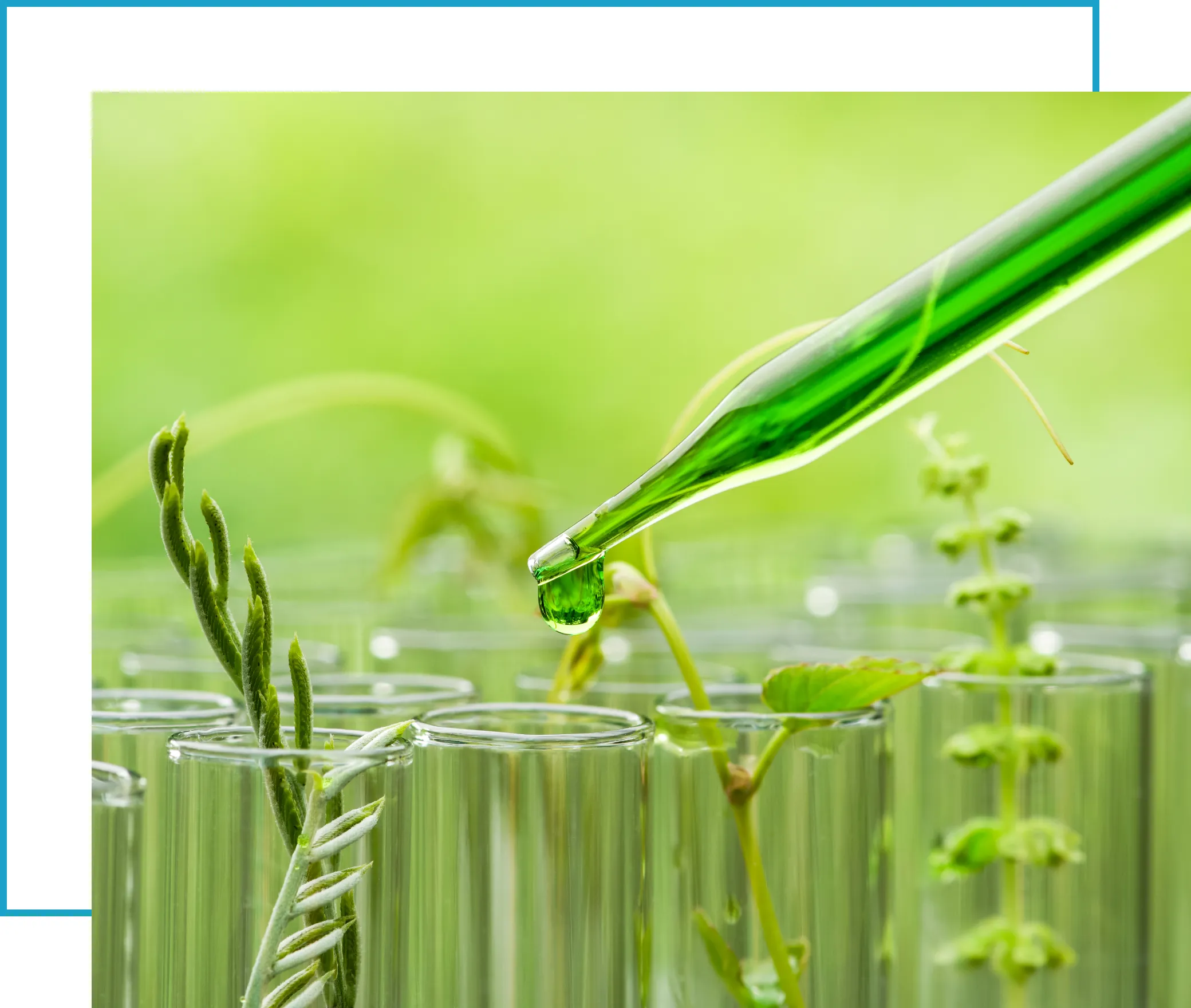 Organic Chemicals