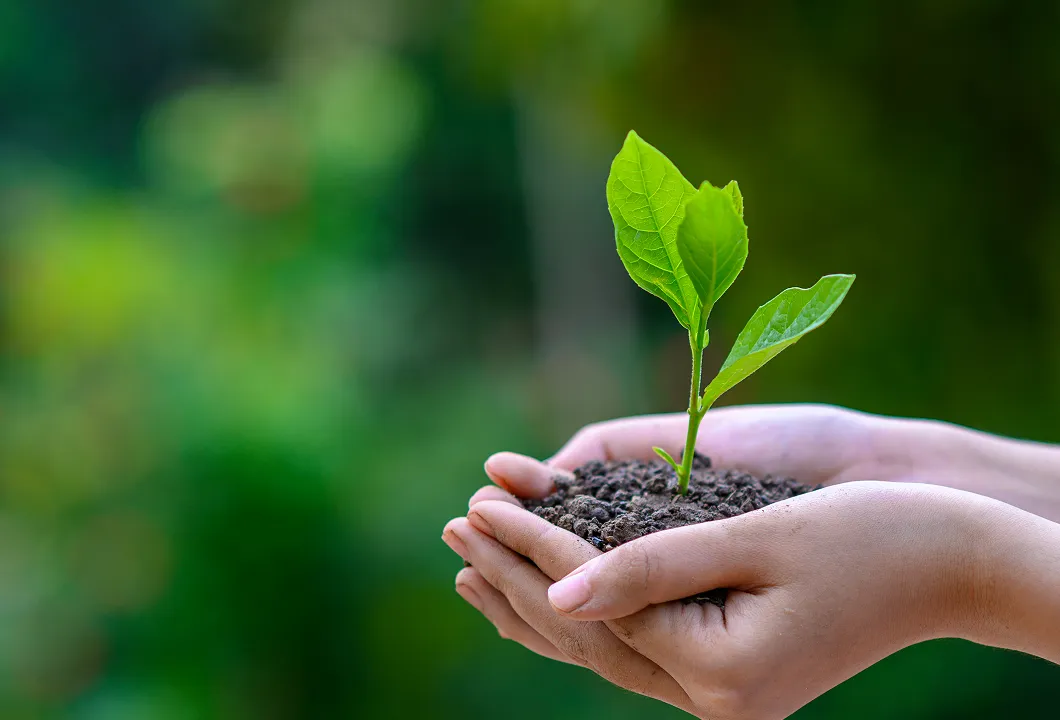 Sustainability Image