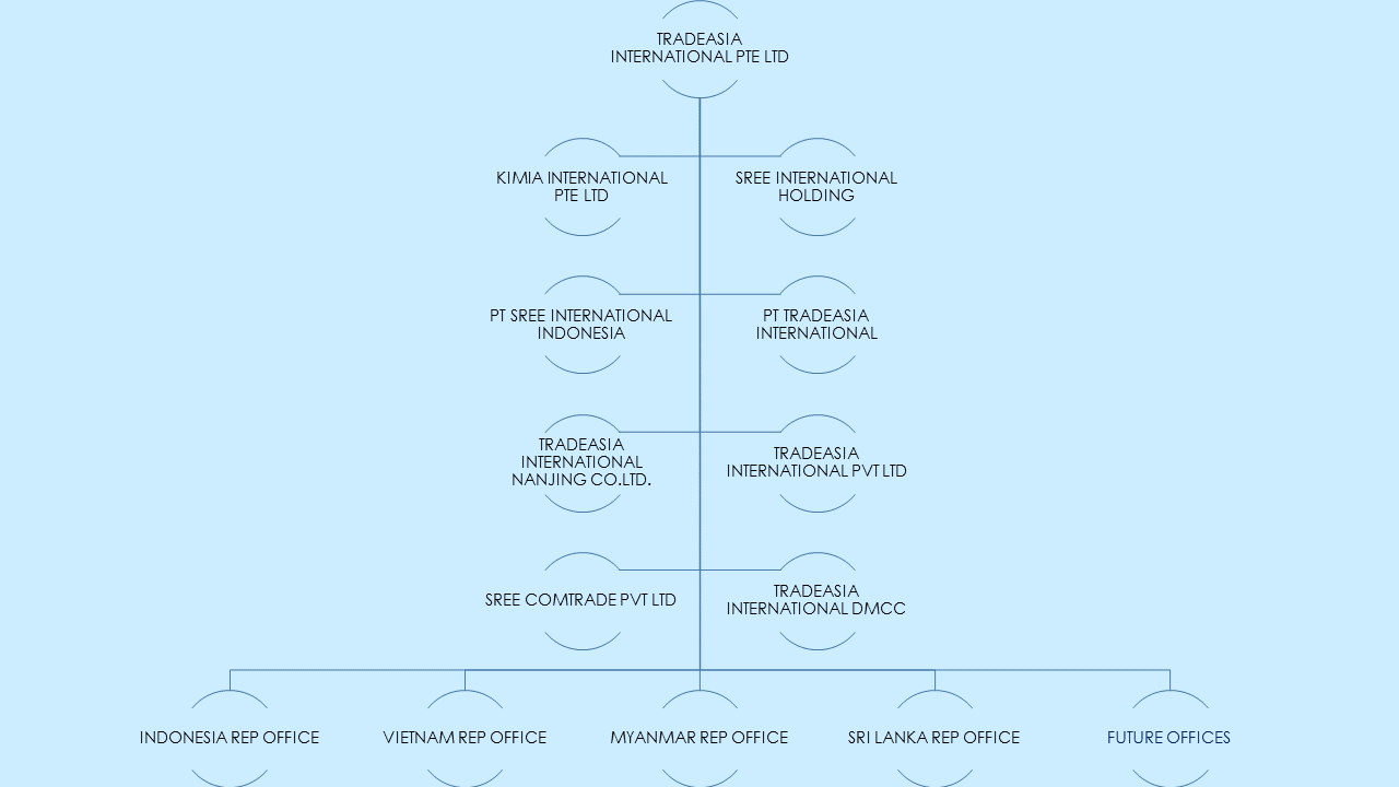 Tradeasia Group Structure