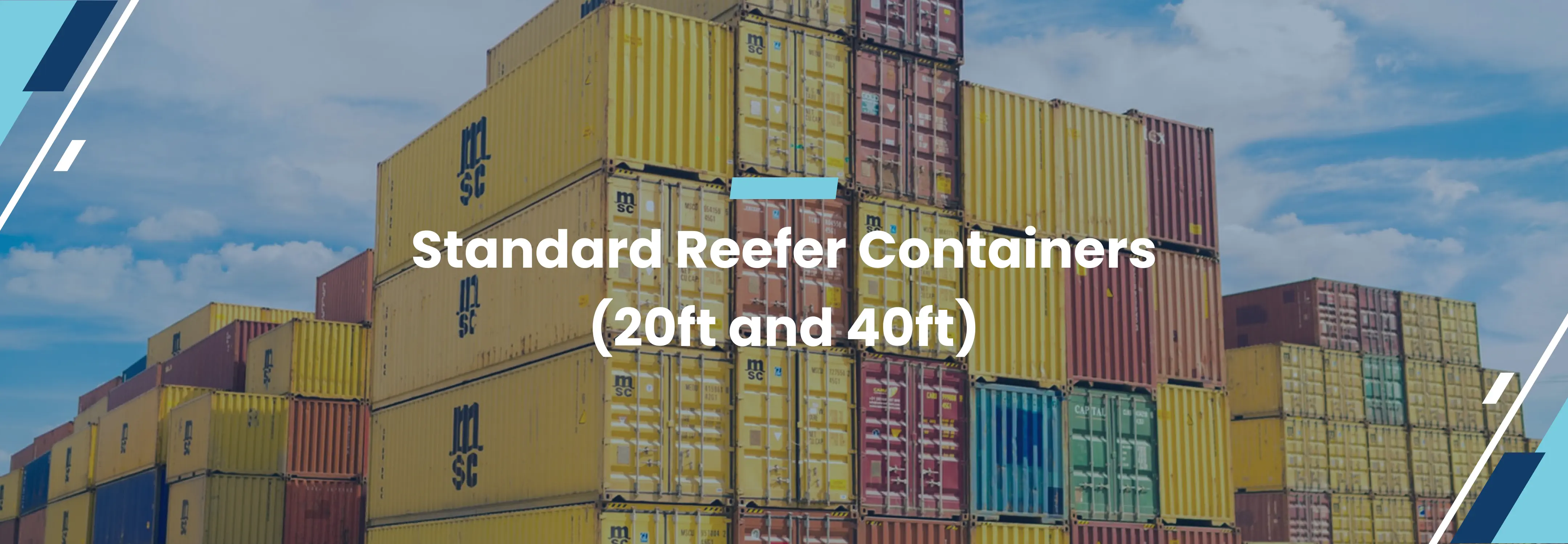Banner of Standard Reefer Containers