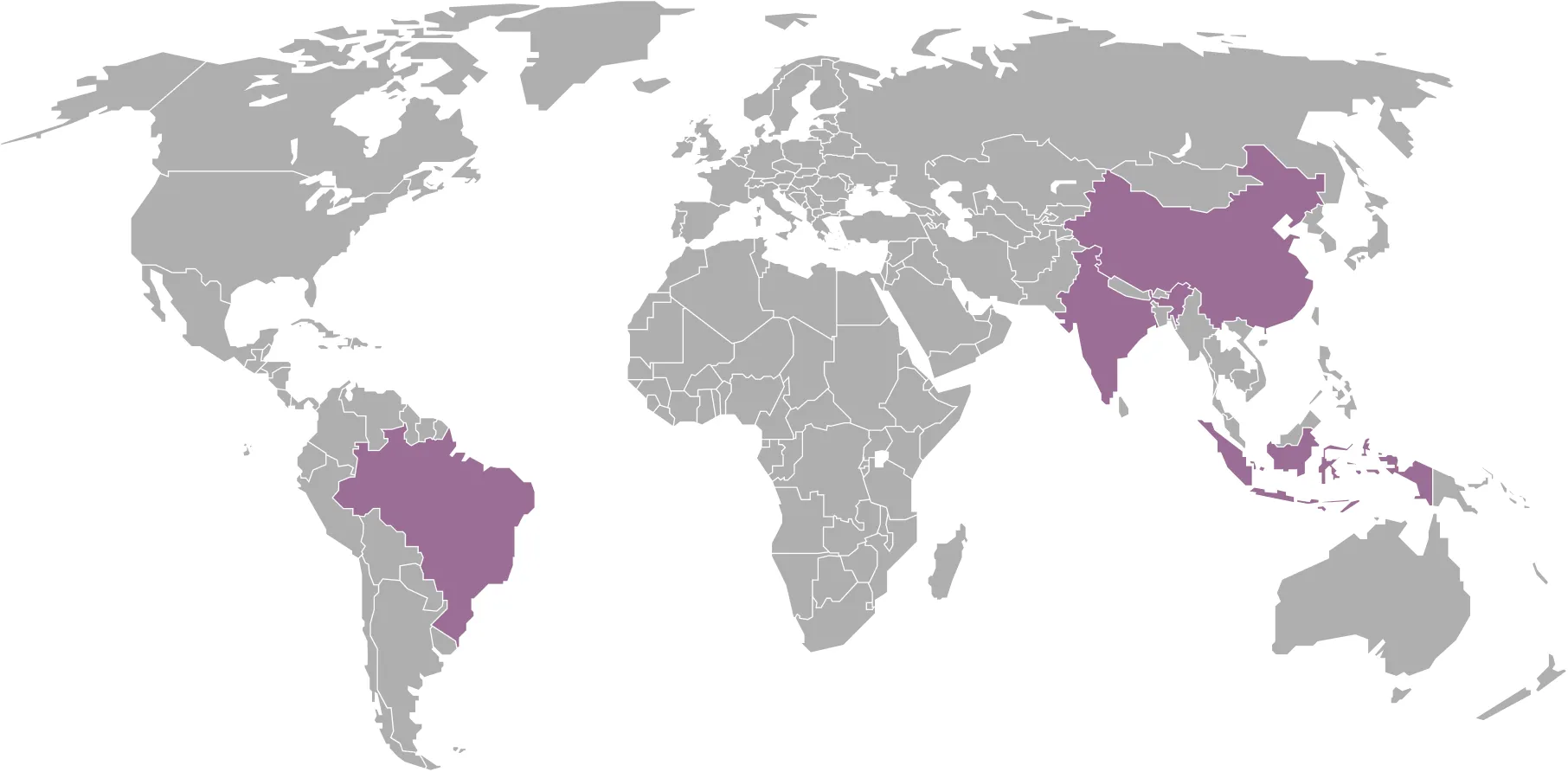 Origin of Terpinolene from Essential Oil Asia