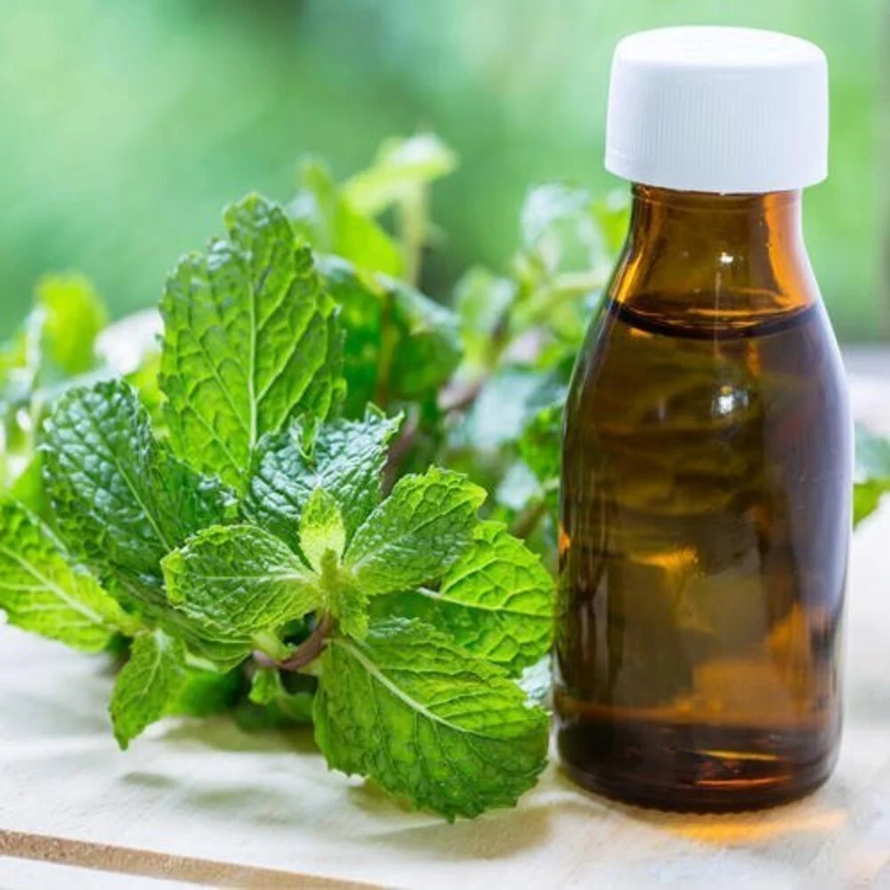 Mint terpene from Essential Oil Asia