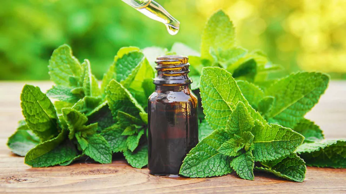 Peppermint oil from Essential Oil Asia