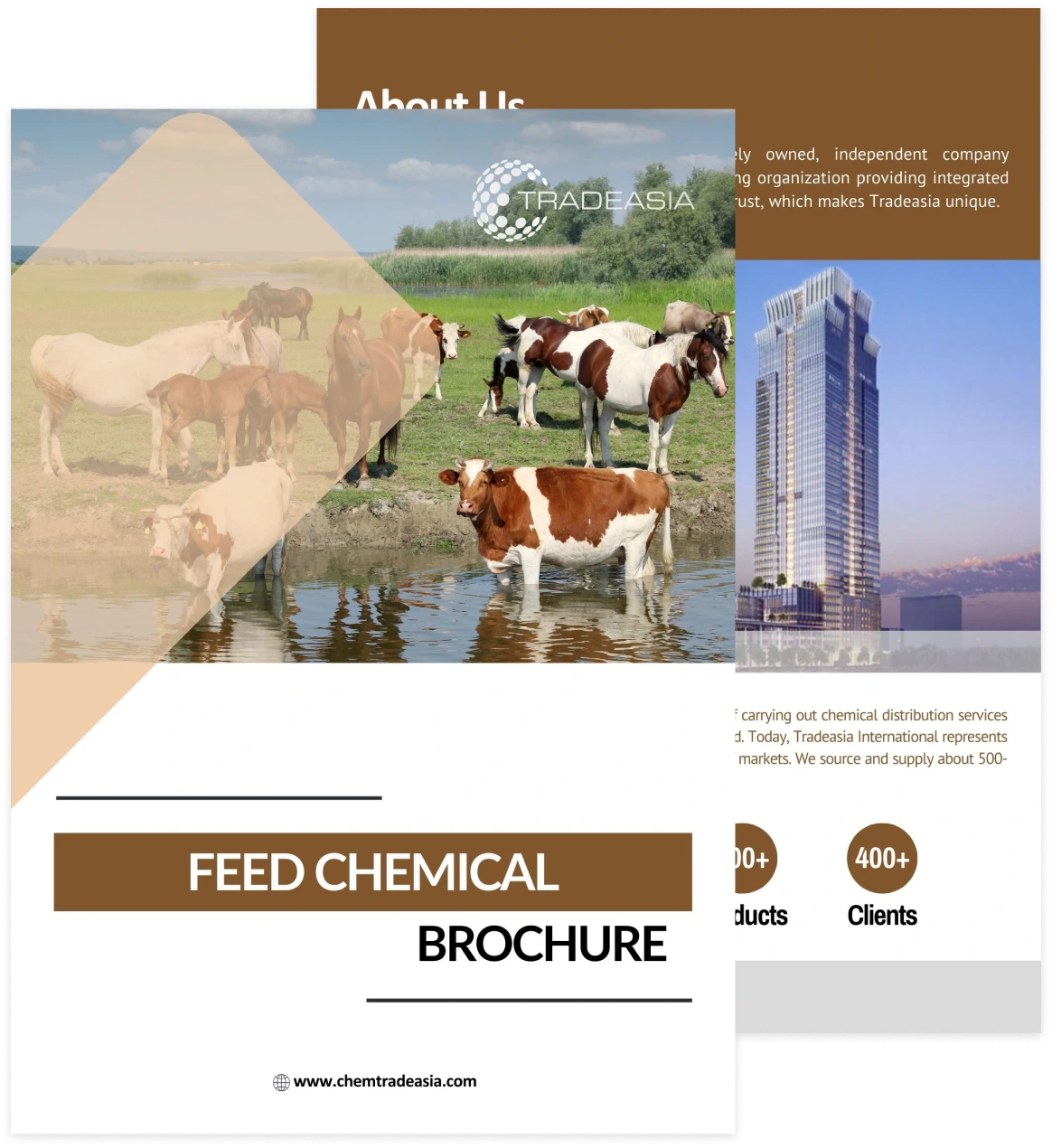 Tradeasia Int - Company Profile