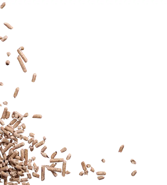 Background Description Section Left