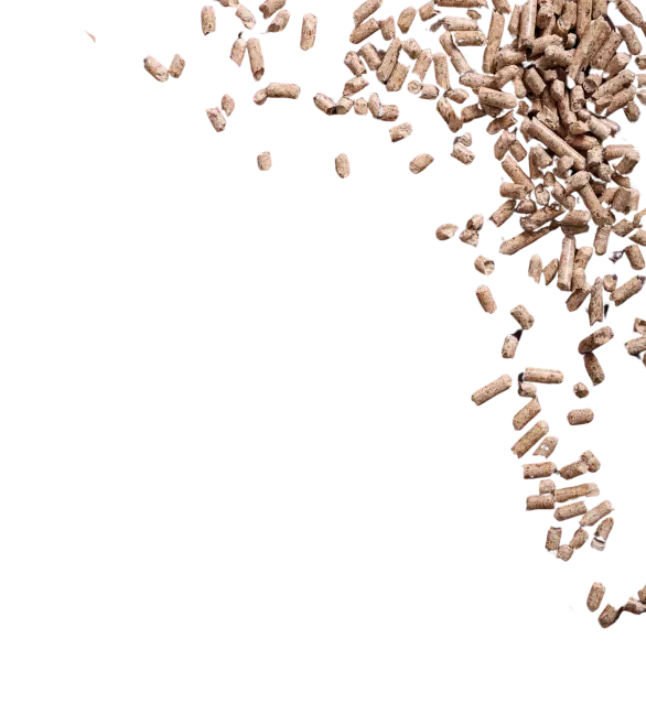 Background Description Section Right