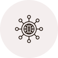 Global Reach and Local Expertise Icon