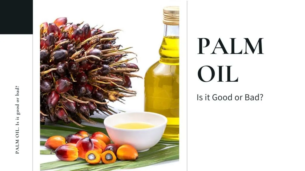 What Is Palm Oil? It is Good or Bad?
