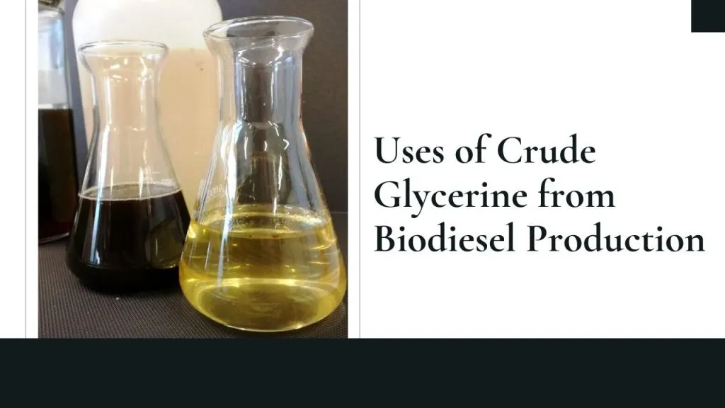 Potential Uses of Crude Glycerol from Biodiesel Production