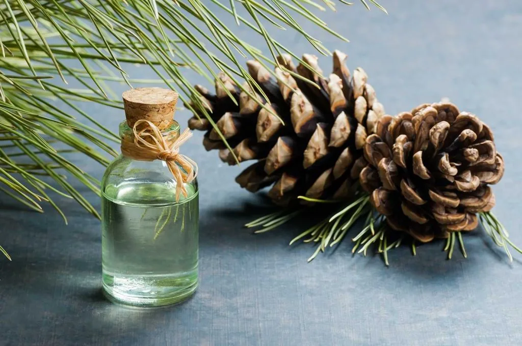 Biofuels In Gum Chemical: Future Technology In Natural Fuel | Tradeasia Pine Chemicals