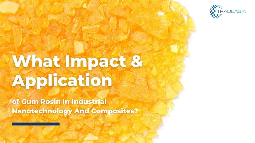 Impact and application of Gum Rosin | Tradeasia Pine Chemicals