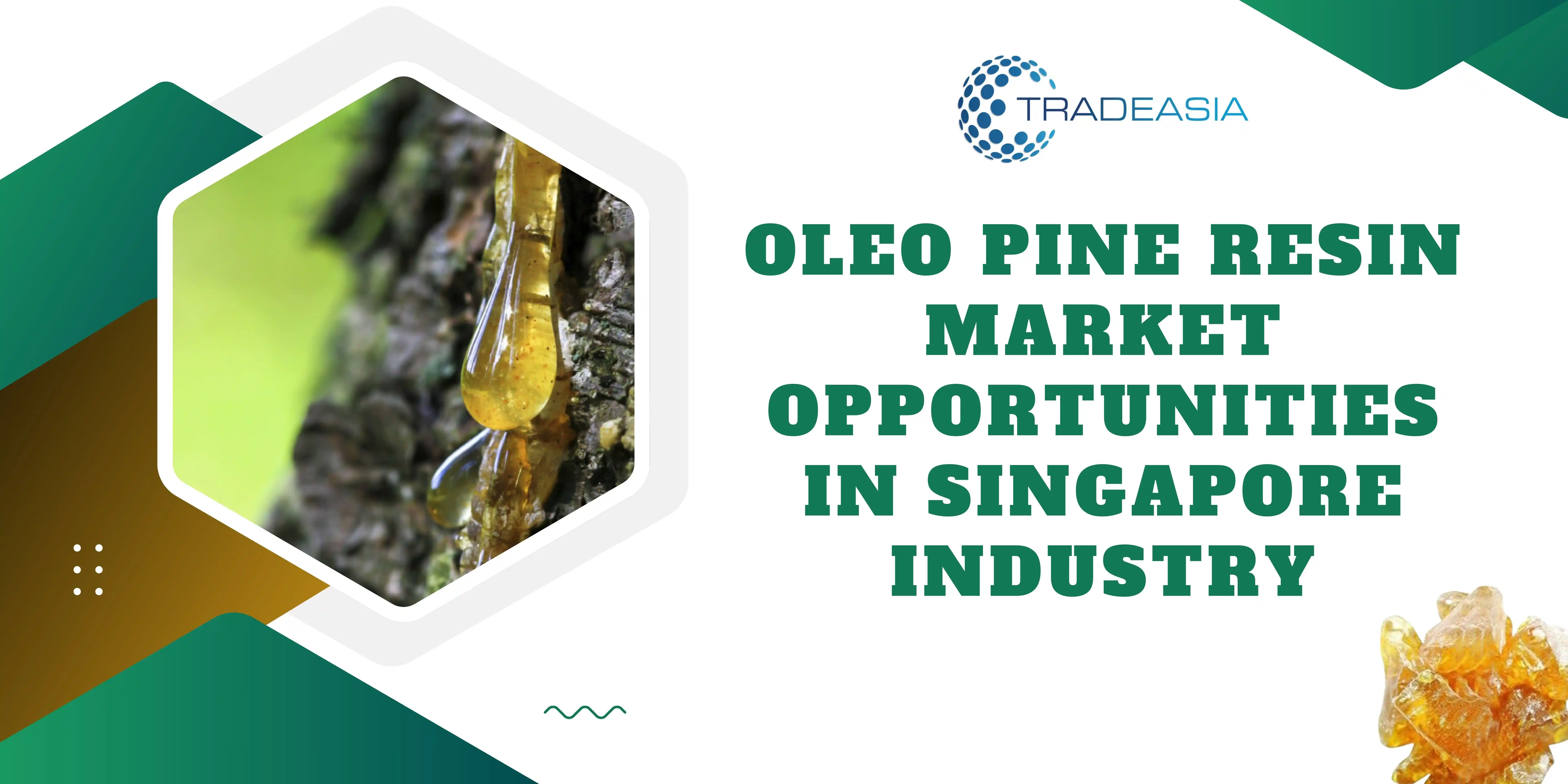 Oleo Pine Resin Market Opportunities in Singapore Industry