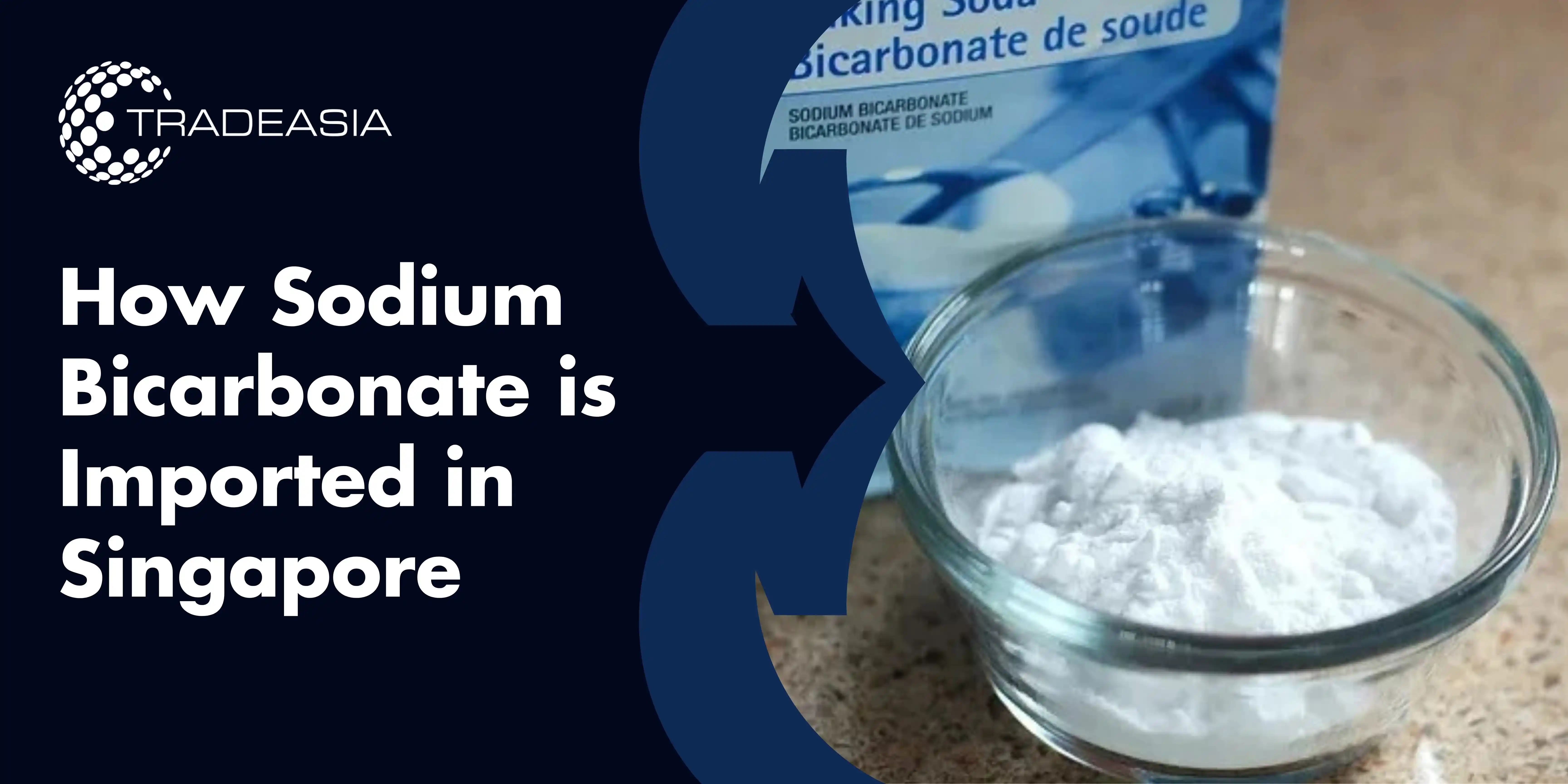 How Sodium Bicarbonate is Imported in Singapore