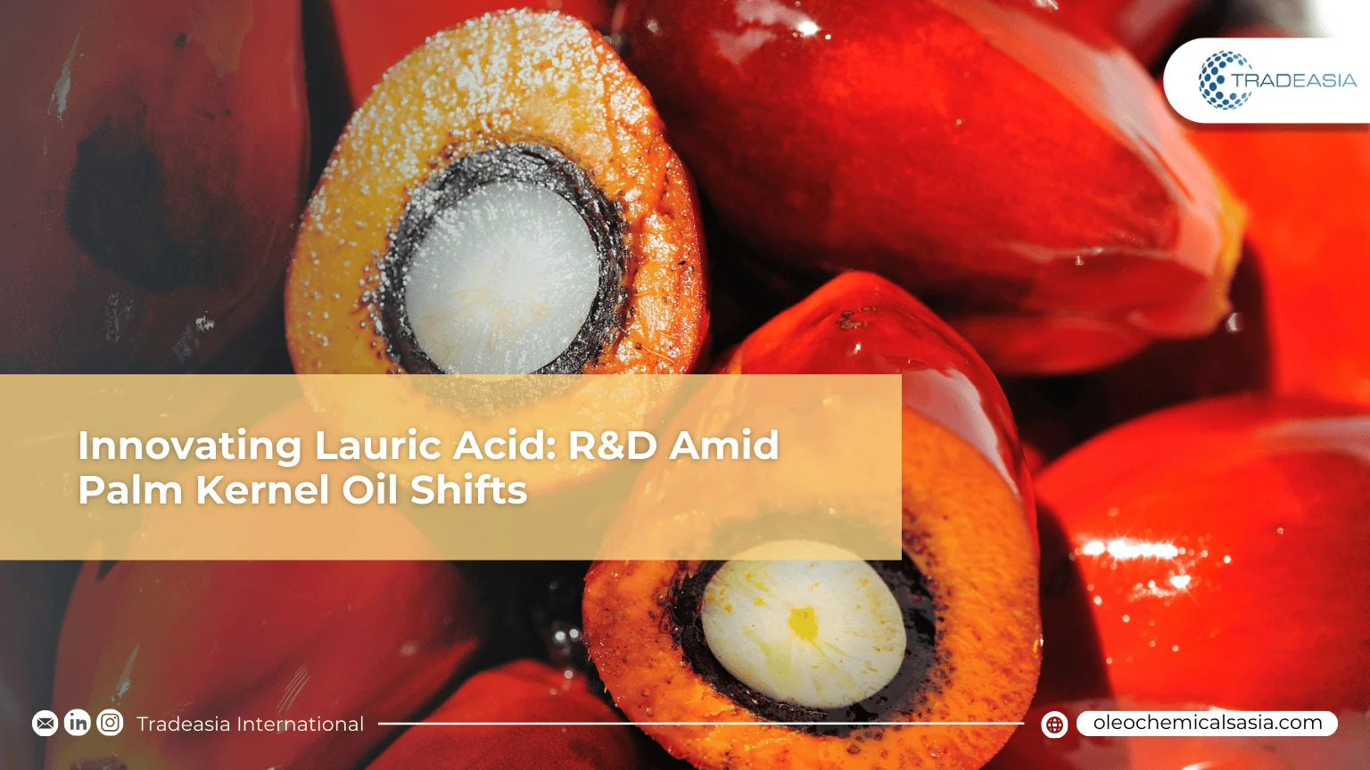 Innovating with Lauric Acid: R&D Driving Growth Amid Palm Kernel Oil Price Shifts