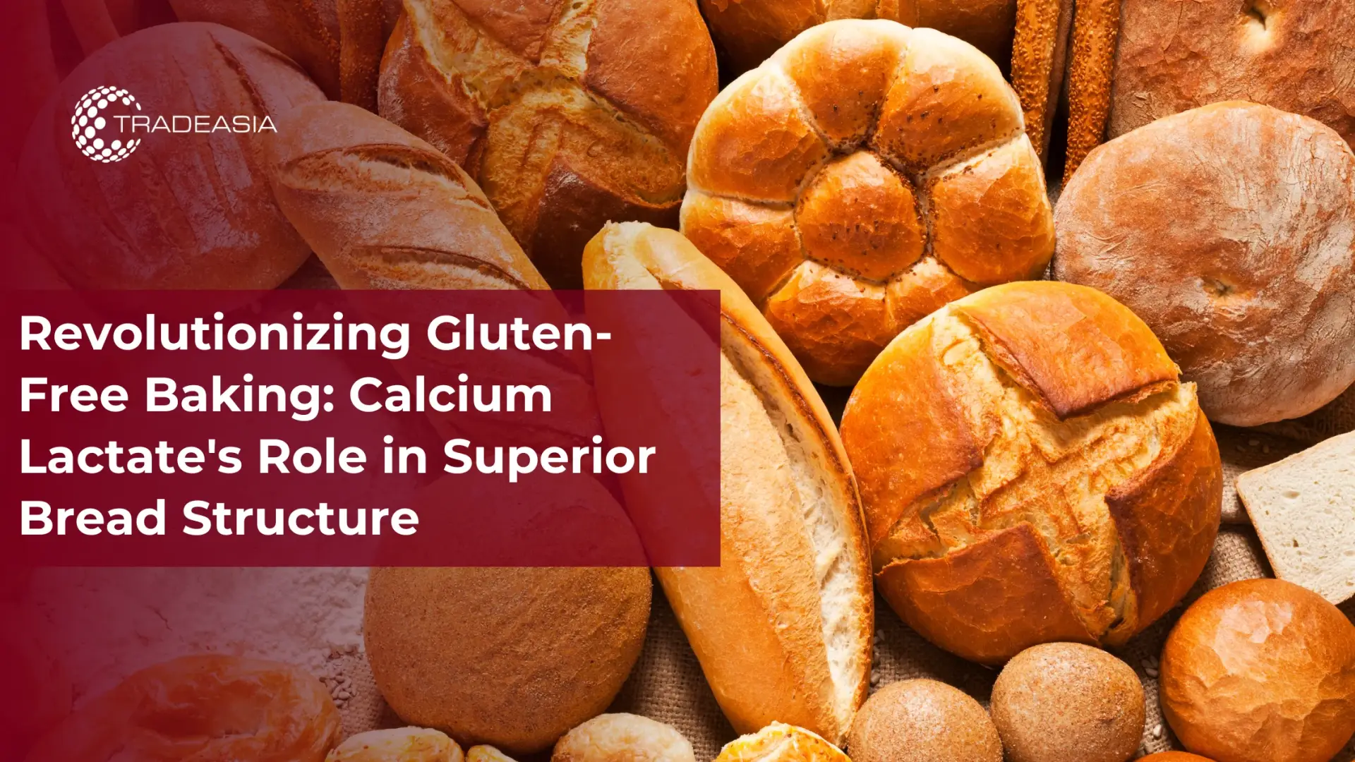 Revolutionizing Gluten-Free Baking: Calcium Lactate's Role in Superior Bread Structure