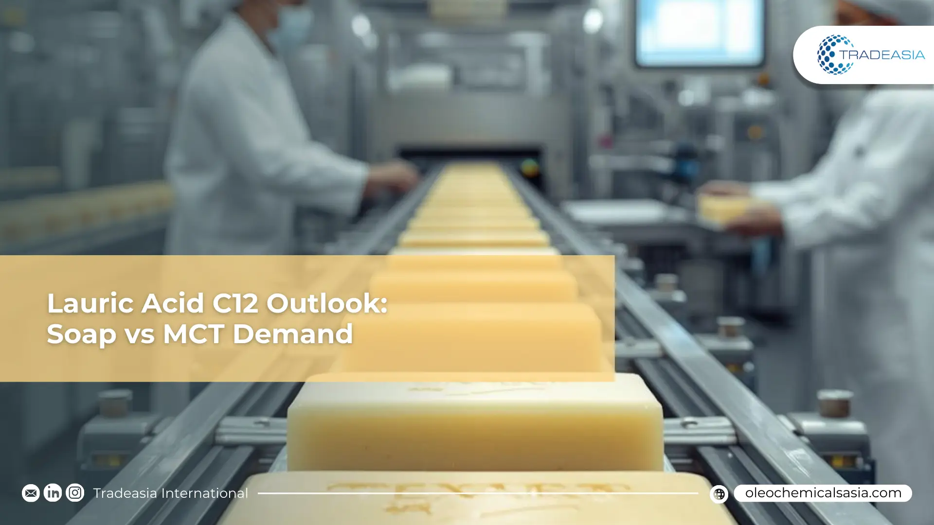 Industrial oleochemical refinery processing Lauric Acid C12 for export to India.