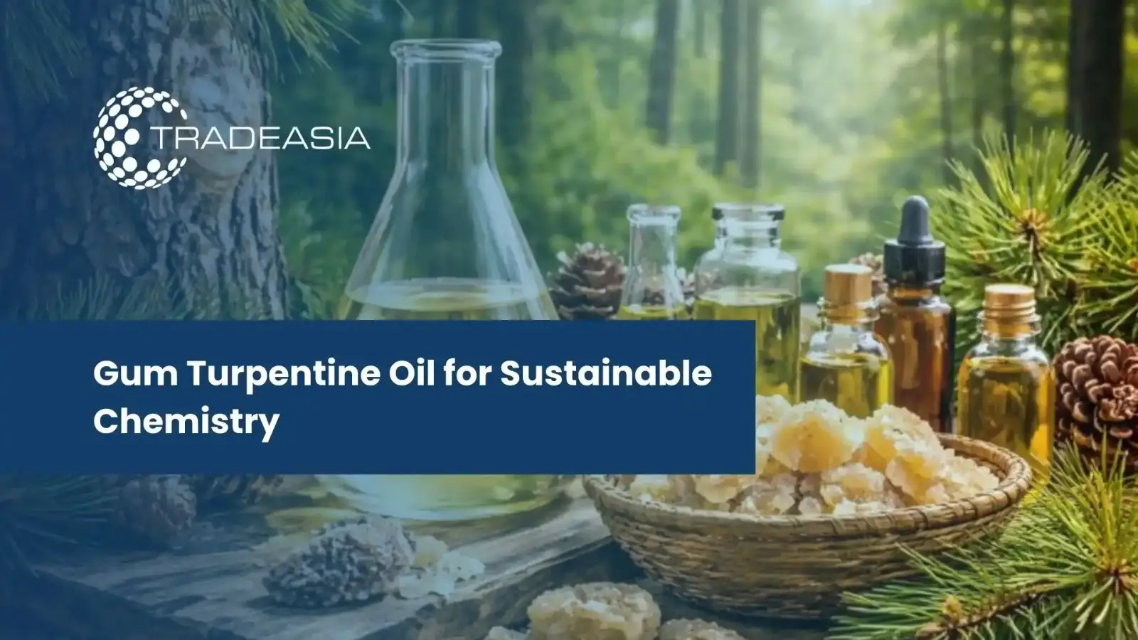 Gum Turpentine Oil: Asia Market Insights & Uses 2026-2035