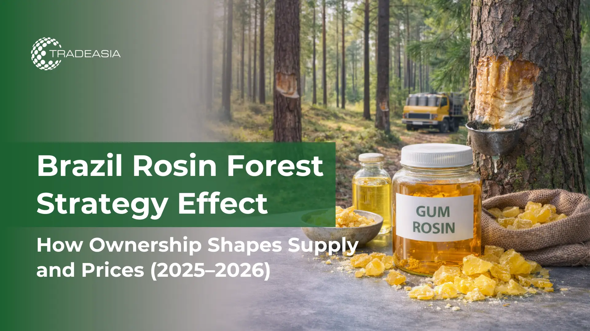 How Brazil’s Forest Ownership Strategy Effect Gum Rosin Market in 2025 to 2026