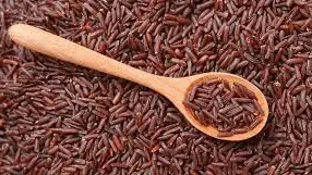 Beyond the Plate: Red Rice as a Premium Nutraceutical Ingredient