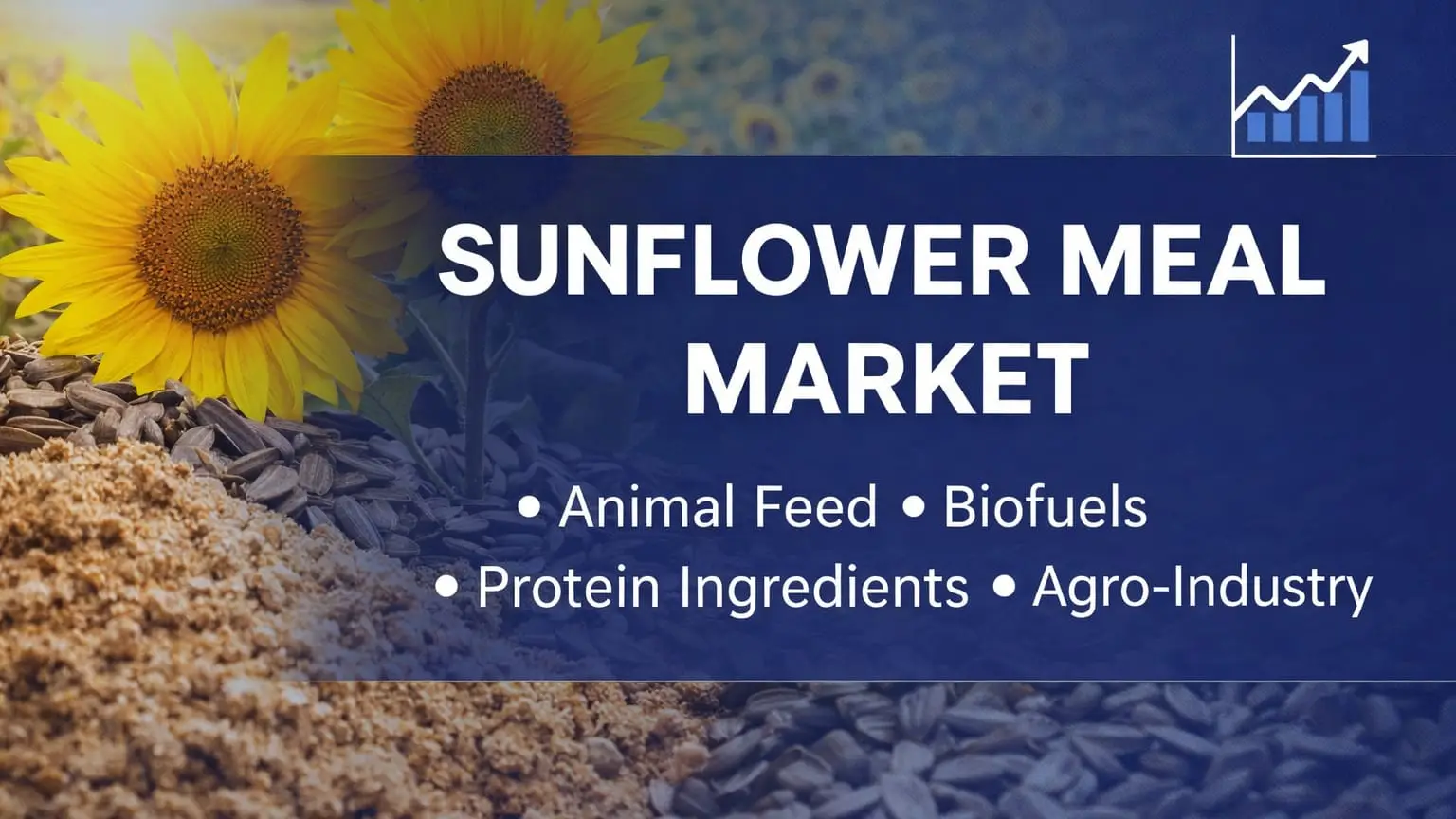 Article Banner of Sunflower Meal Market 2026: Growth, Applications, Buyers & 20-Year Outlook
