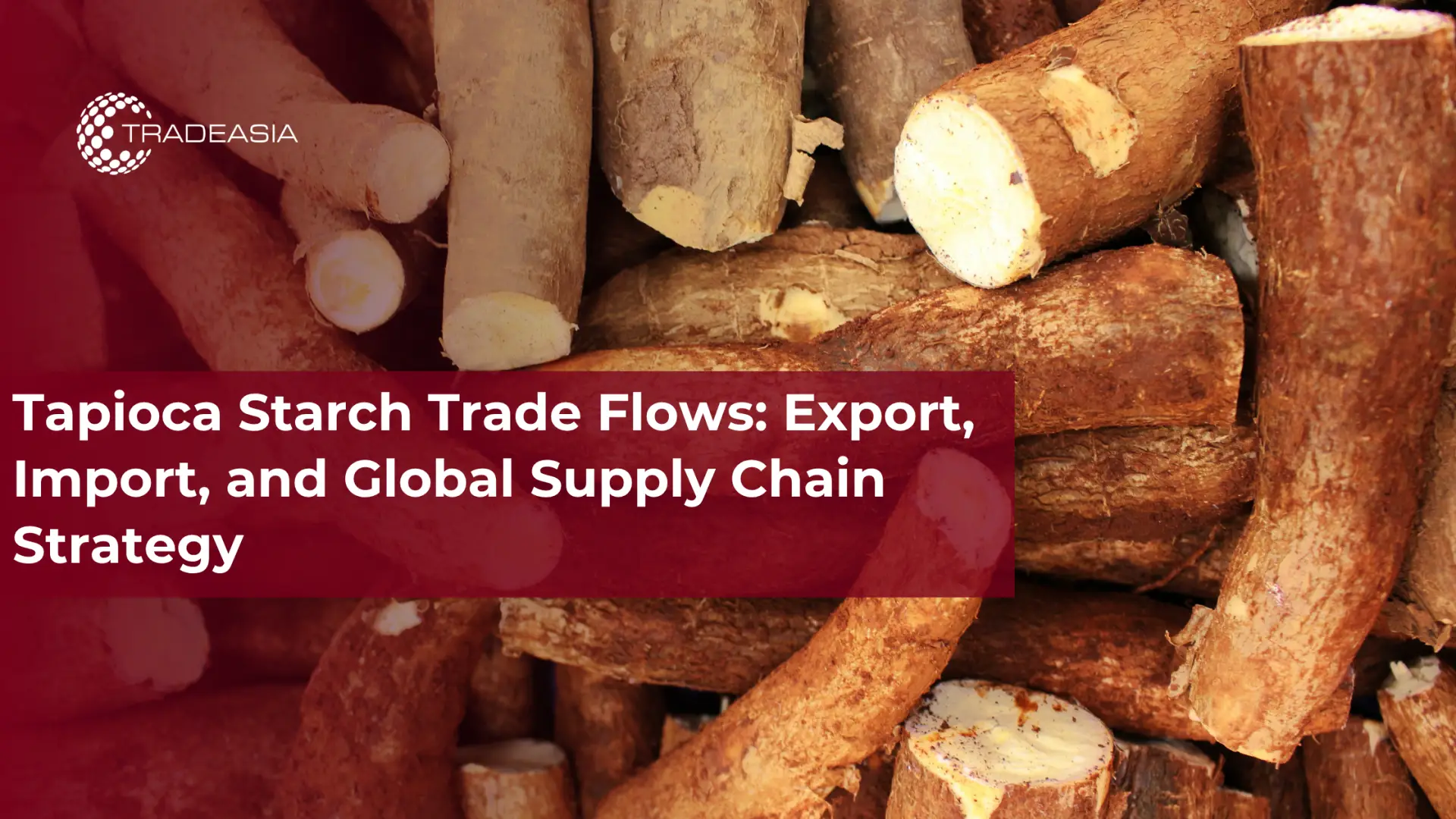 Tapioca Starch Trade Flows: Export, Import, and Global Supply Chain Strategy