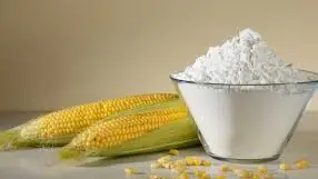 Downstream Demand Sparks Transformation in Maize Starch Supply Chains