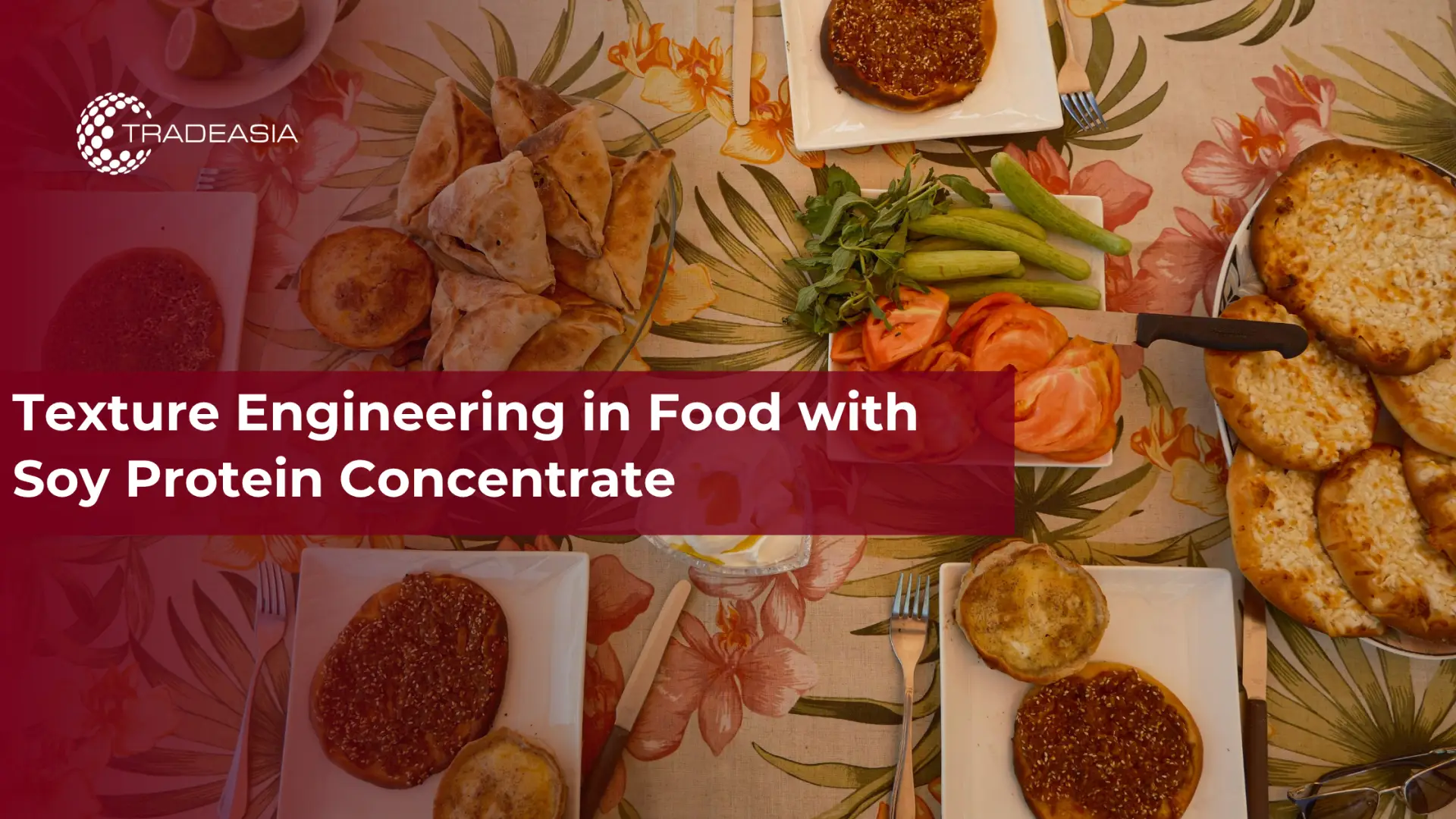Texture Engineering in Food with Soy Protein Concentrate
