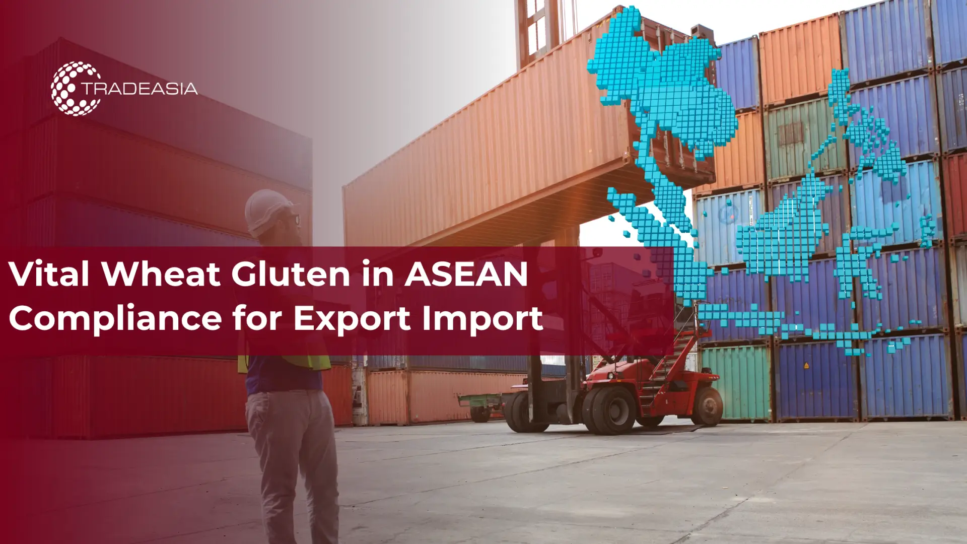 Vital Wheat Gluten in ASEAN Compliance for Export Import