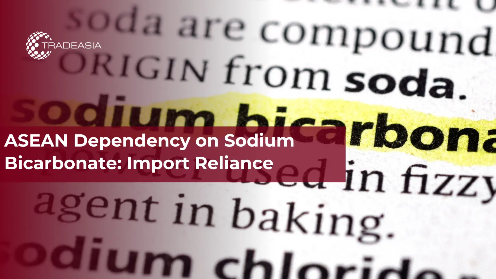 ASEAN Dependency on Sodium Bicarbonate: Import Reliance