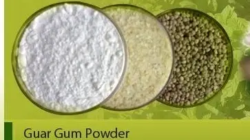 Guar Gum 2026–2046: From Food Additive to Sustainable Platform Chemical