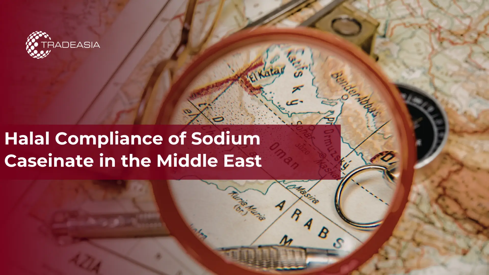 Halal Compliance of Sodium Caseinate in the Middle East