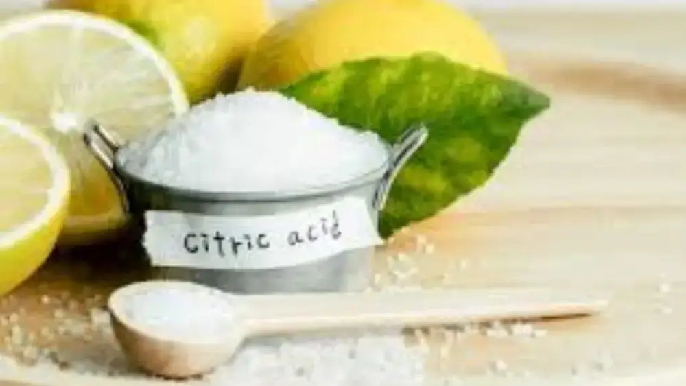Article Banner of Supply Chain Dynamics of Citric Acid Anhydrous Market 2026 Outlook