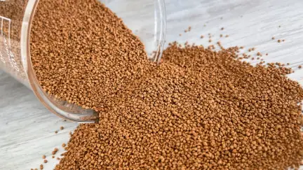 L-Lysine Sulfate Supply Chain: Trade Flows, Pricing, and Feed Demand Trends